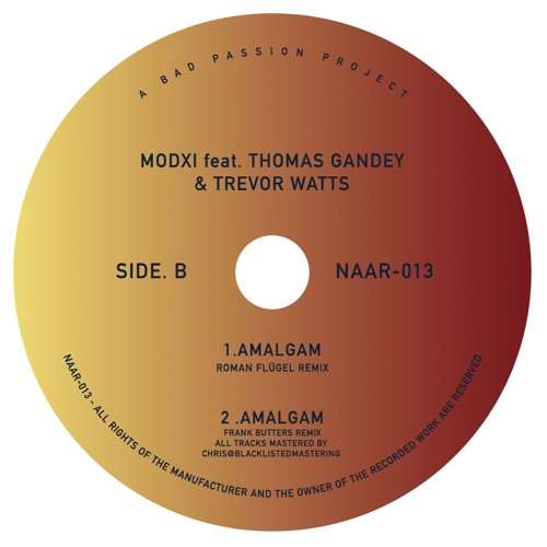 B1 - Amalgam - Roman Flügel Remix / Not An Animal