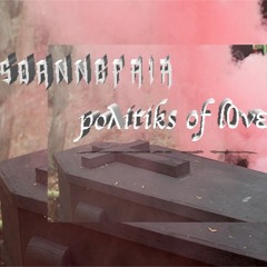 Poλitiks Of L0vε Extended Version