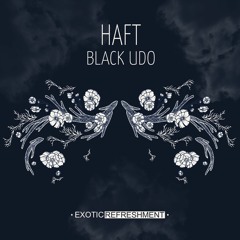 DHB Premiere: HAFT - Denic (Original Mix)