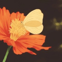 Ｂｕｔｔｅｒｆｌｙ