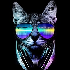 Ayhan Aygun is hippie 33.0 / Dirty Kitty