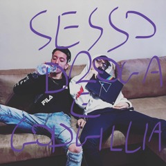 SESSO, DROGA E GODGILLIA