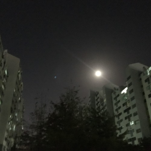 내 맘에 한 노래 있어 (There is a song within me)
