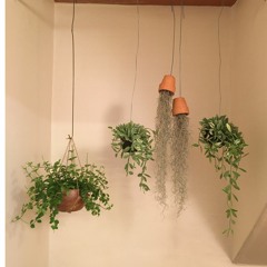 주께서 나의 슬픔 변케하여(K906)