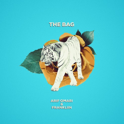 The Bag