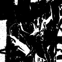 A - MAS - ADORA Drona Summer