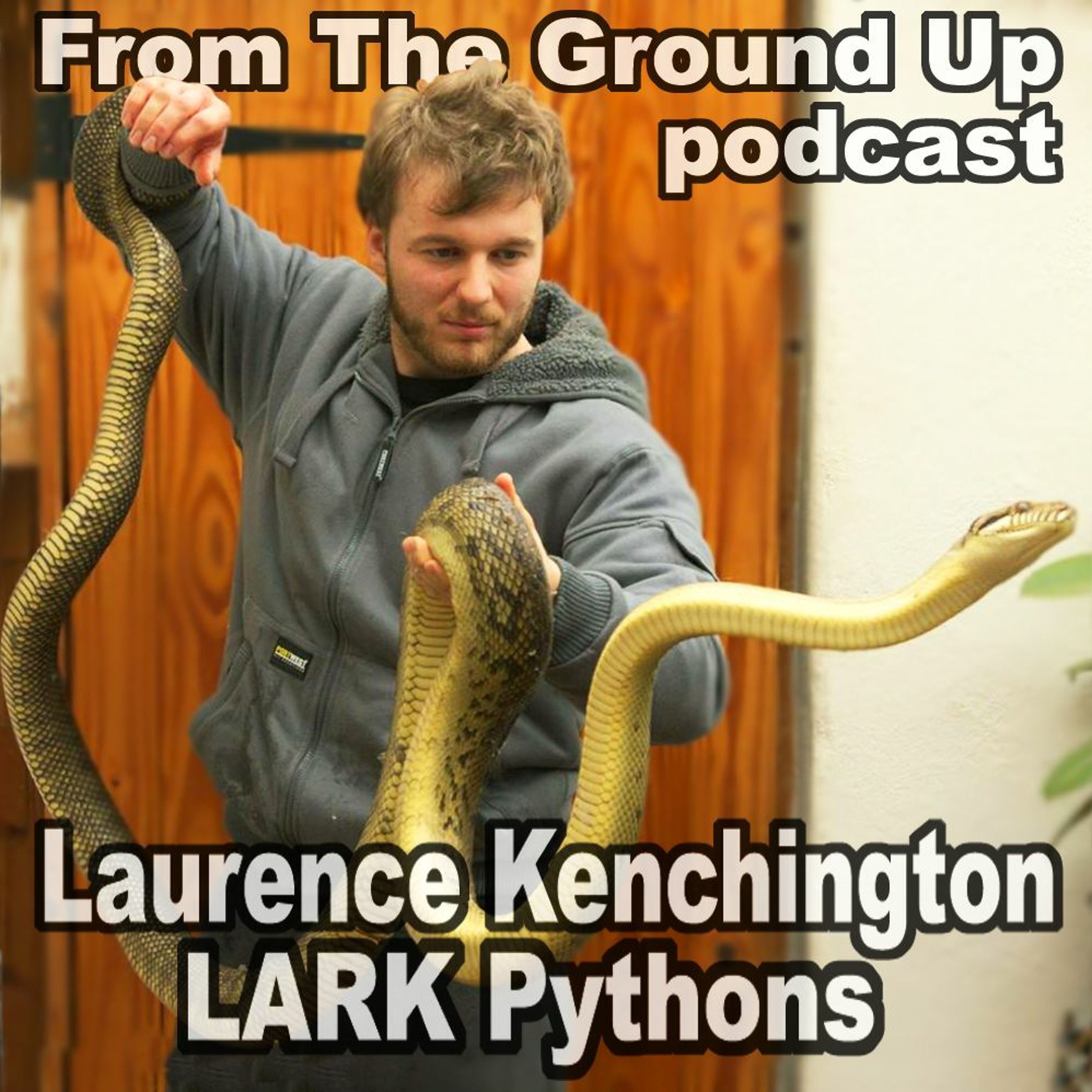Modern Medusa Reptile Podcast - Where we talk everything cold-blooded (Snake Podcast)