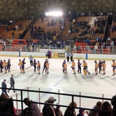 Theme for Hockey Fans