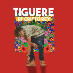 Boly Rapper - Tiguere De Cristo Rey (Audio Oficial)