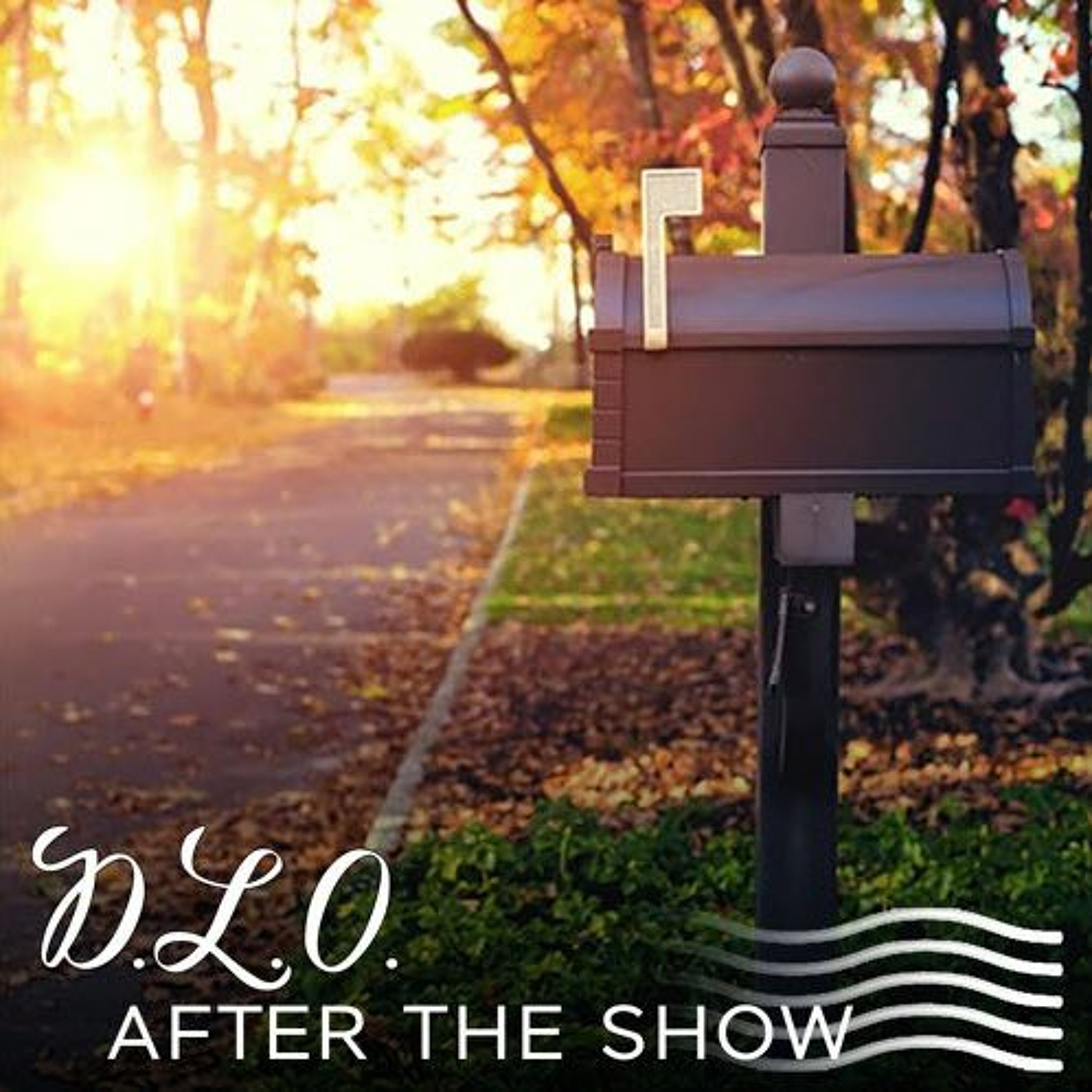 DLO After The Show Episode 5 : The Ripple Effect