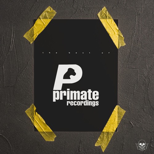 The best of PRIMATE
