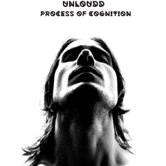 PROCESS OF COGNITION