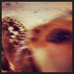 Bottles clink in capsized thoughts