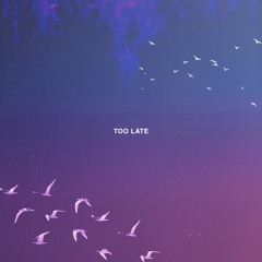 Too Late (Prod. Ricky Flarez)