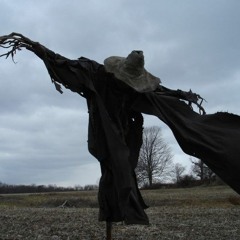Rethink - Late Harvest