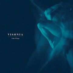 Visonia - Why The Love Forgot Me