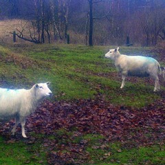 Whats The Use Inside