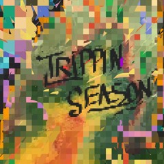 Trippidy