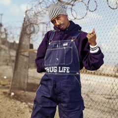 Tupac - Born In The Gutter