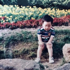 춤다디 (브로콜리너마저 ‘춤’ + 담다디)