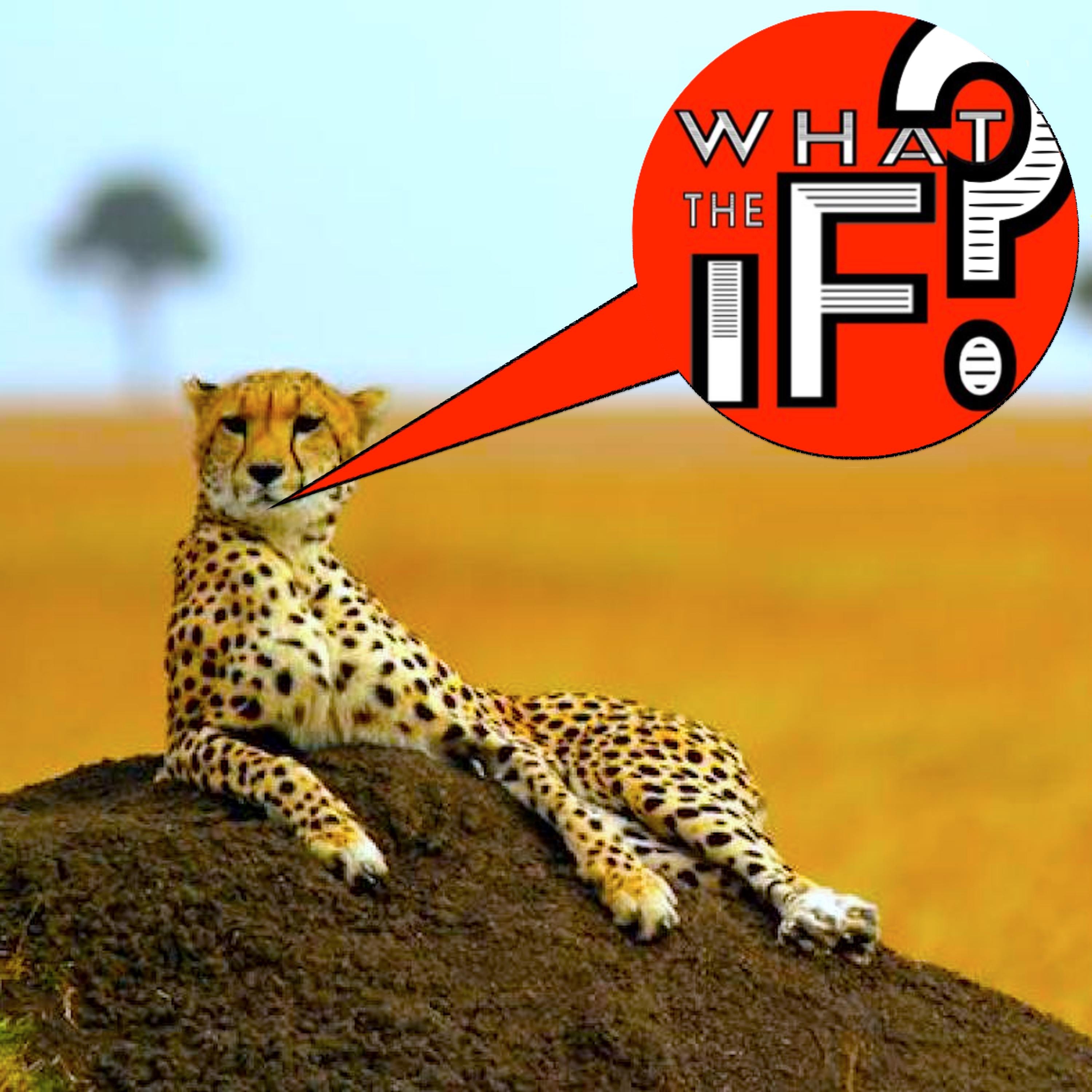 What The If?