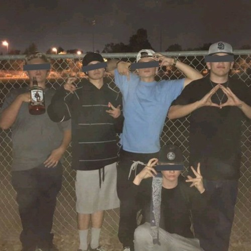 "Mobbn" Freestyle