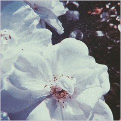 AFFLICTED