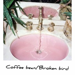 Coffee bean/Broken bird