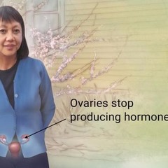 Lil Pengwen - Menopause (prod. King of Mexico)