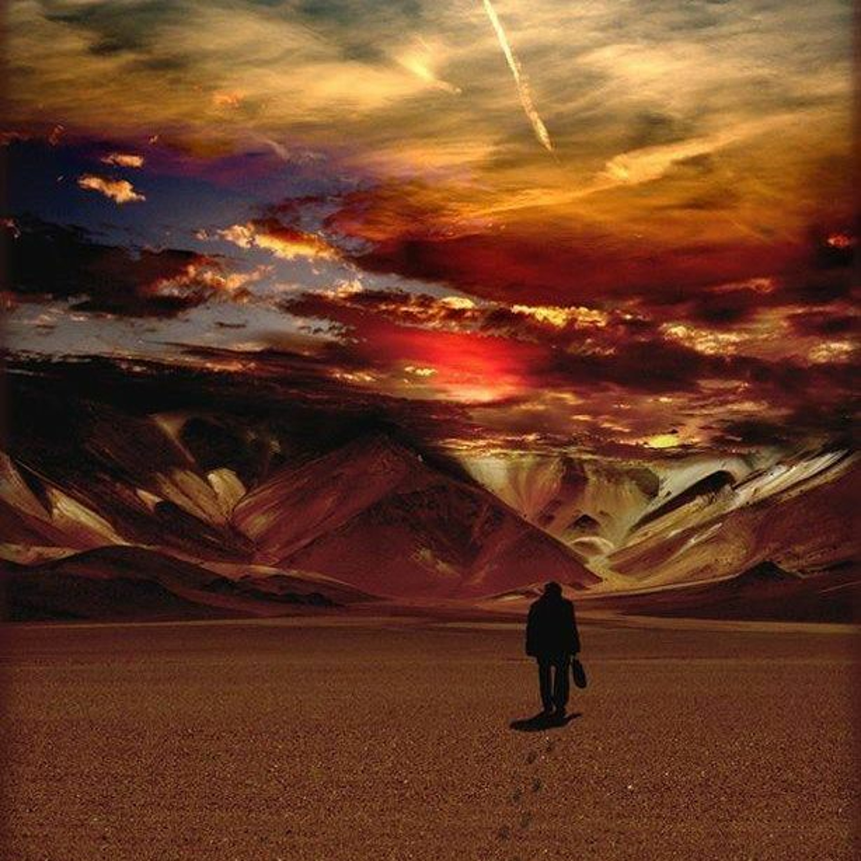 martin majer