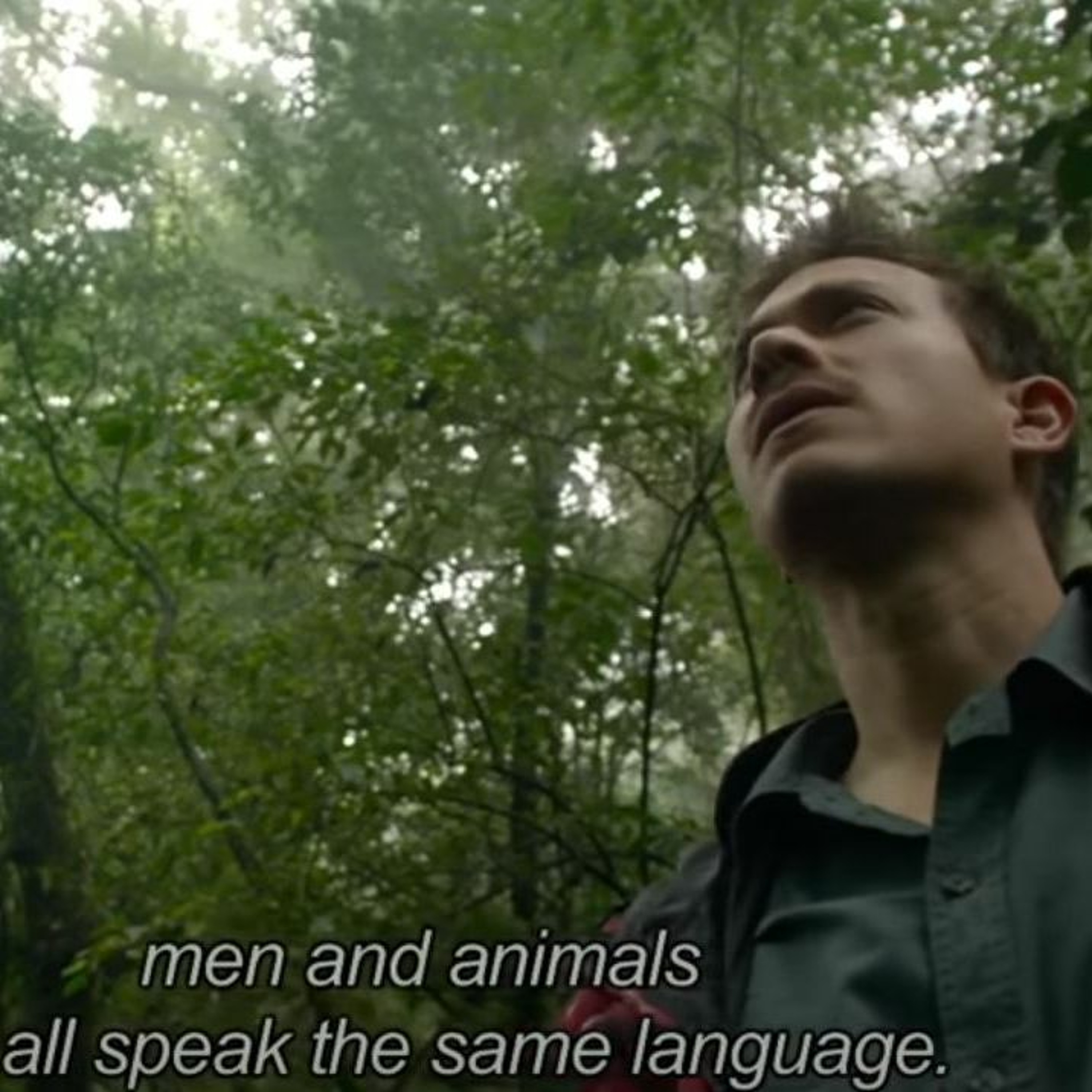America the Bilingual
