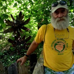 Revolution Music (prod. GlobulDub)