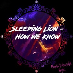 Sleeping Lion - How We Know (Ernesto Dobrowolski Remix)