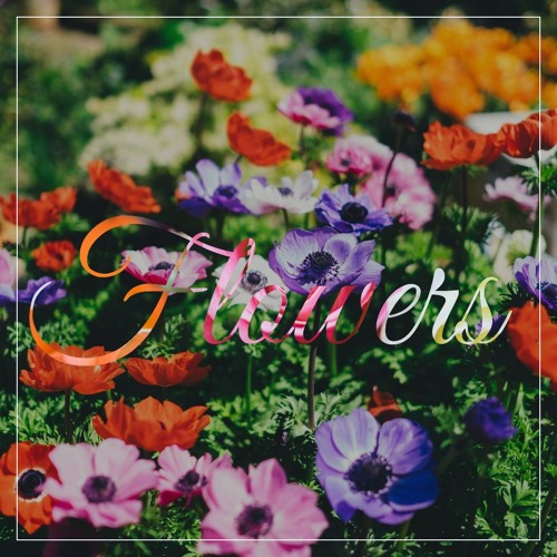 Stream Flowers (Prod. Nujabes) (R.I.P) by SkyBlew | Listen online