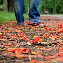 Hariye Giyechi Arnob