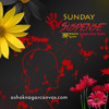 Pagla Dashu Sukumar Ray Ashoknagarcanvas Com Mp3