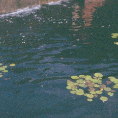 Burzum-til hel og tilbake igjen(cover)