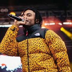 PLAYBOICARTI - Half & Half (SLOWED)