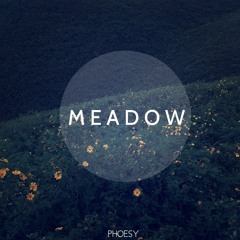 FREE DOWNLOAD: Phoesy - Meadow (Original Mix) [Sweet Space]