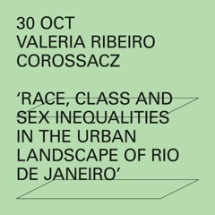 'White Middle-Class households: race, class and sex inequalities in Rio' - Valeria Ribeiro Corossacz