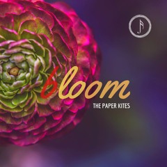 Bloom - The Paper Kites (Piano Cover)