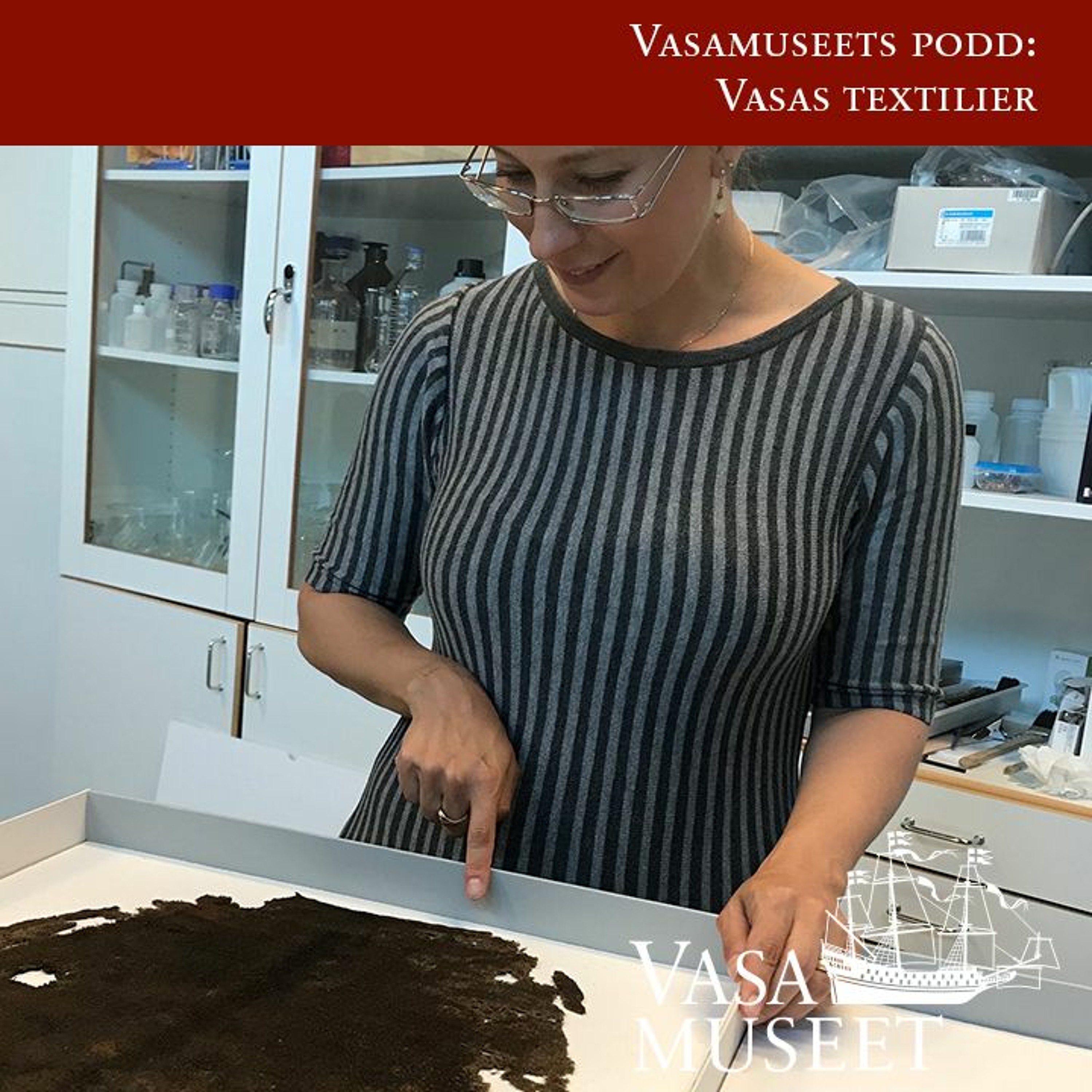 Vasamuseets podd