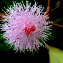 WeakestBeast Big DnB Mix #3