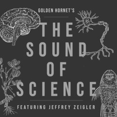 Jeffrey Zeigler - The Sound Of Science - 03 - Paola Prestini - From The Bones To The Fossils