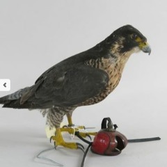 Drugs Dont Work By The Verve