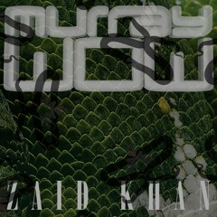 Expectations (feat. Zaid Khan)