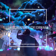 Tony Igy - Laboratory Of Dream (The Husky Remix)