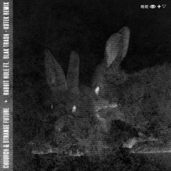 Chuurch & Strange Future - Rabbit Hole Feat Blak Trash (Kotek Remix)