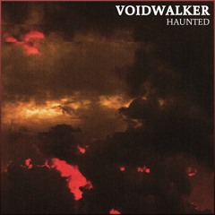 Voidwalker - Haunted (Original Mix)