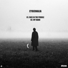 Cybernalia - Face In The Puddle (Original Mix)